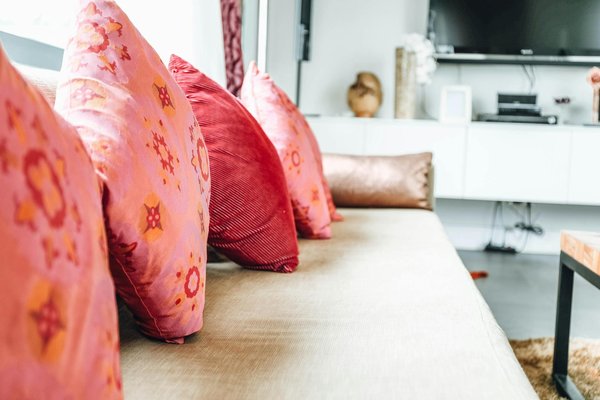 Descubre las plantas que pueden potenciar tu sistema inmunológico